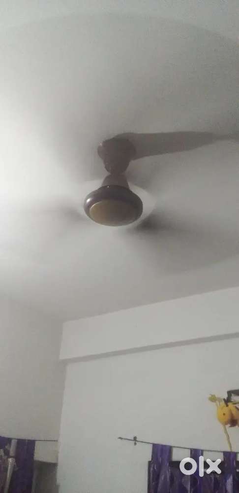 Two fan ananya company