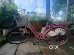 Ladybird bicycle