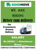Delivery Associate