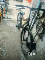ARK Cycle 2 year old