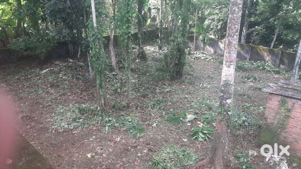 14 Cents Residential land for Sale at Peringara Thiruvalla