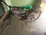 New cycle 2024 24inch