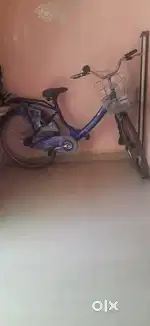 Six months bicycle urgent sale