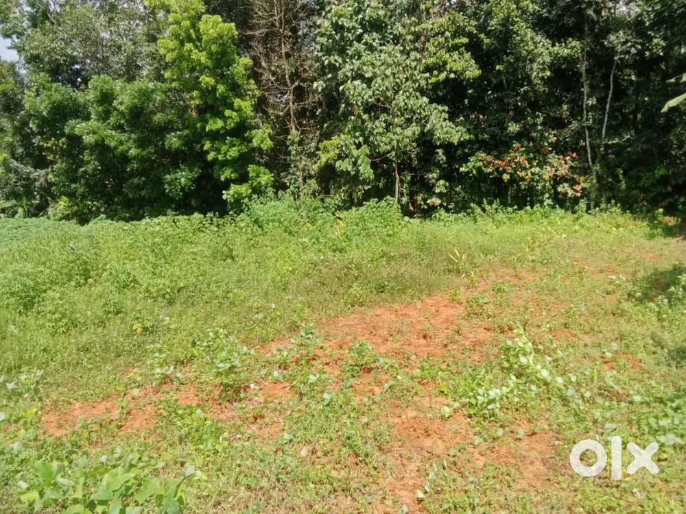 Puthupally 10 cent house plot 1.lakh.