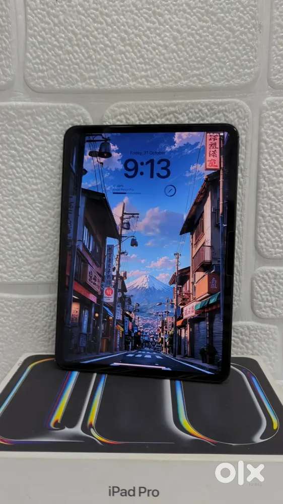 Ipad Pro 11(M4 Chip) - 512gb - Wifi - Space Black - Indian