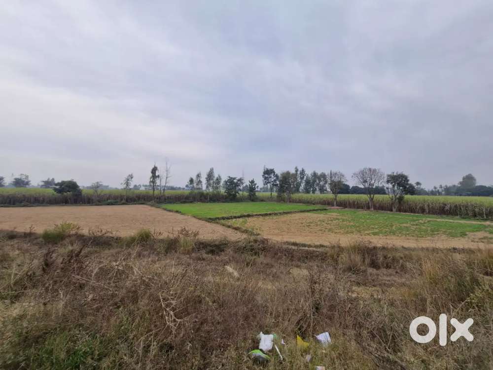 NH 74 फोरलेन नजीबाबाद से हरिद्वार 180 फीट फेस के साथ 1600 गज का प्लॉट