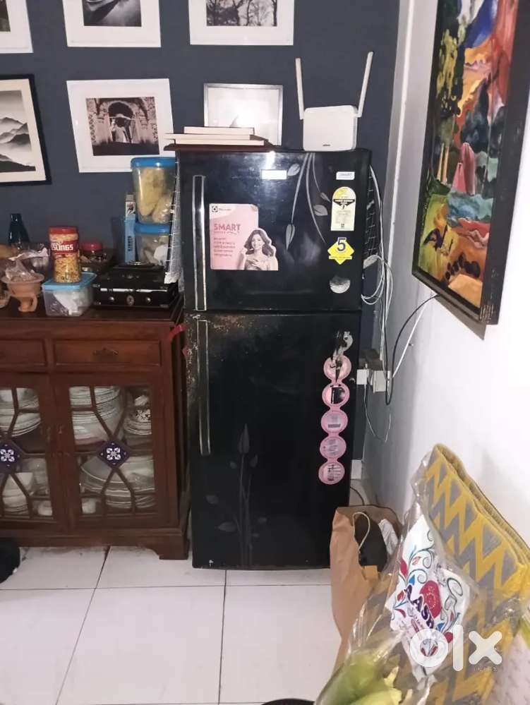 Fridge double door