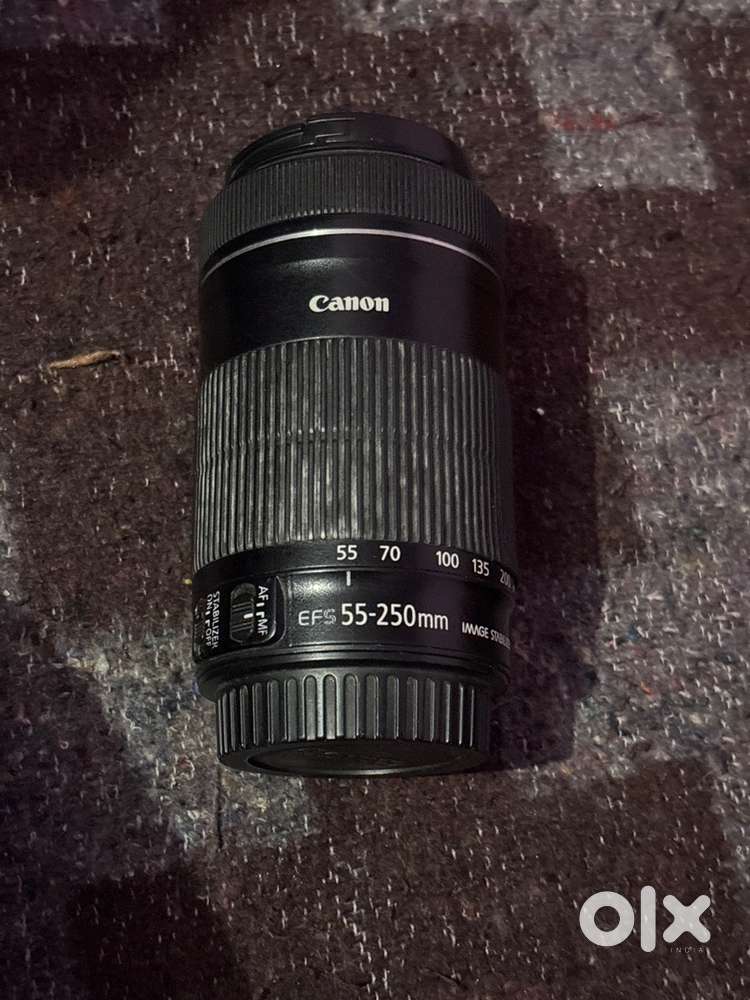 Canon 55-250mm Lens