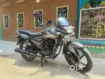 Honda CB SHINE 125 in showroom condition