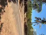 46cent Plot for sale kadinhinmoola nileshwar