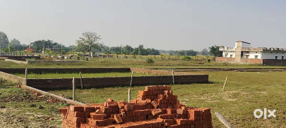 Diwali registry free offer