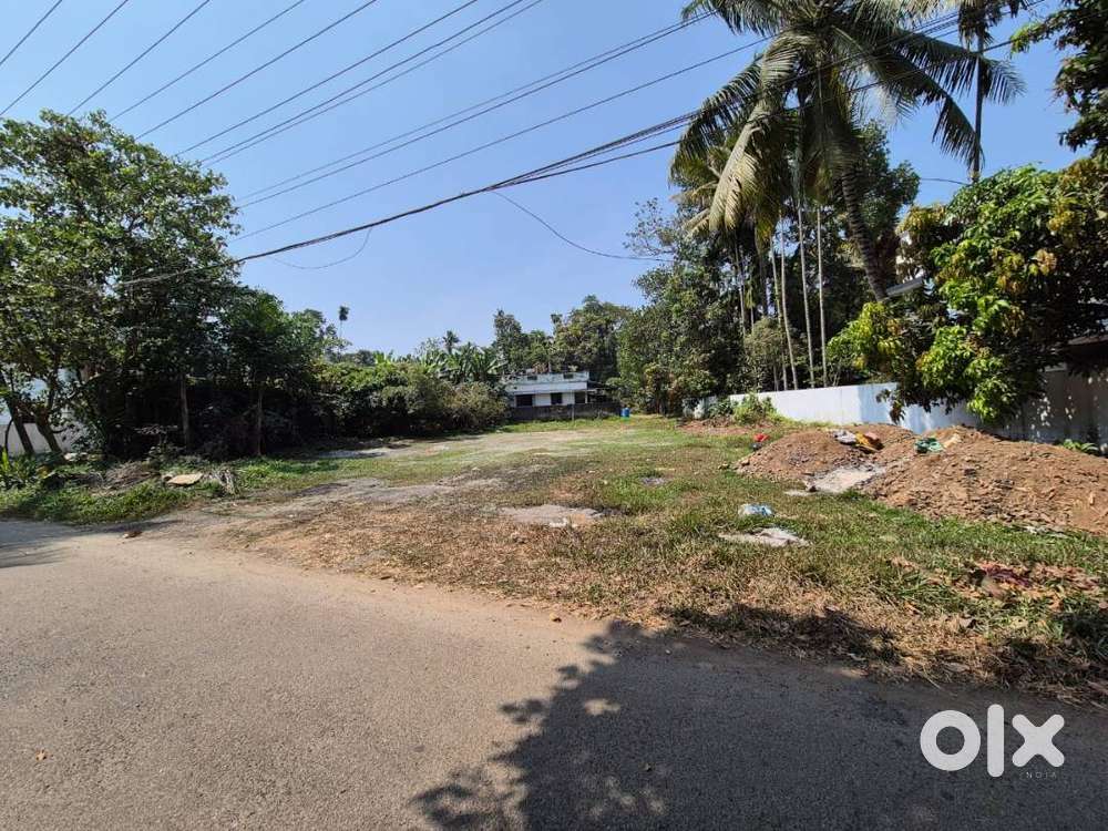 Residential Plot for Sale – Varapuzha, Muttinakam Road