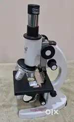 Compound Microscope