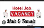Free room or food hotel jobs