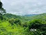 Morni hills__land for sale
