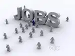 Female staff required for reception and official works