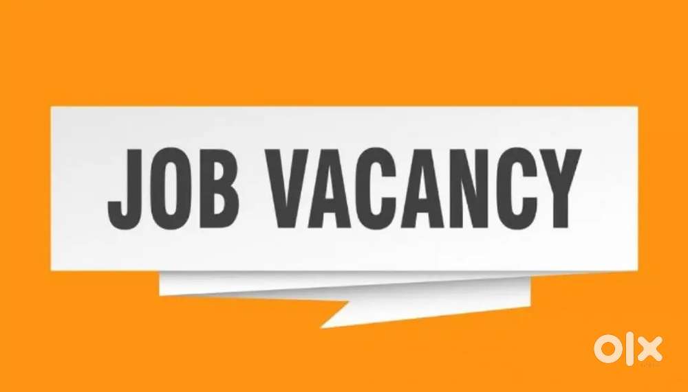 Driver vacancy