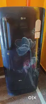 Lg single door