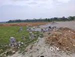 Myadi patta Land near AIIMS(Changsari) & North Ghy Fancy bridge