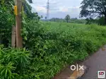 Plot for sale in Chandranagar, Palakkad