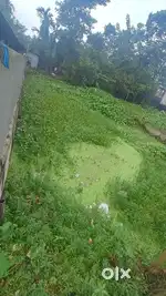 3 Kata Jomi ache 1800000