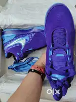Nike Shoes. Exclusive professional basketball sneakers and Lifestyle