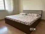 King Sized Bed with Storage and Back Cushion