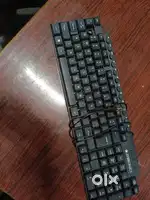 keyboard ZEBRONICS