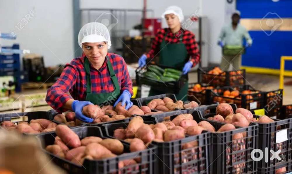 WANTED PACKING STAFF(MALE AND FEMALE)