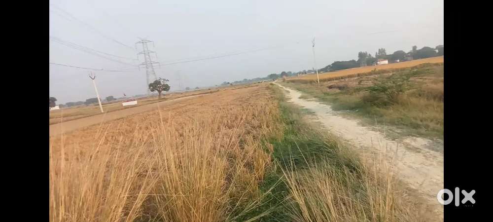 Beautiful plot 10 biswa link road