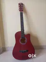 Intern 38C-LGP-BRN guitar