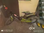 Black and green