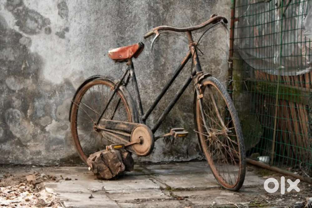 Very old. Cycle