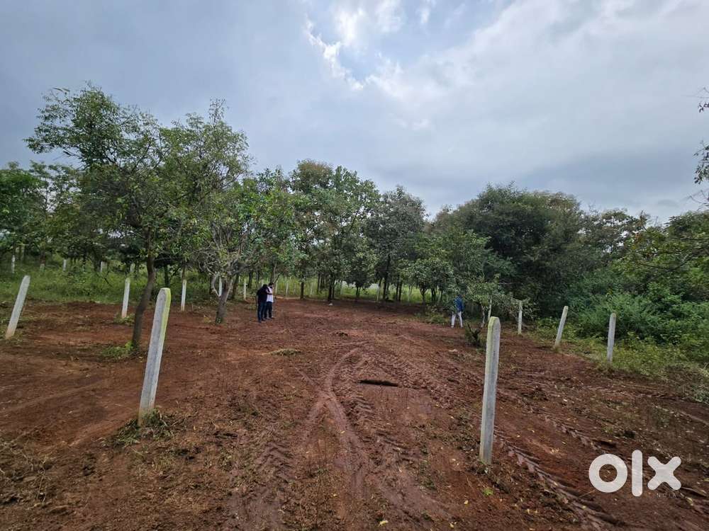 500 sq yards of land for sale in amity park shamshabad urgent sale