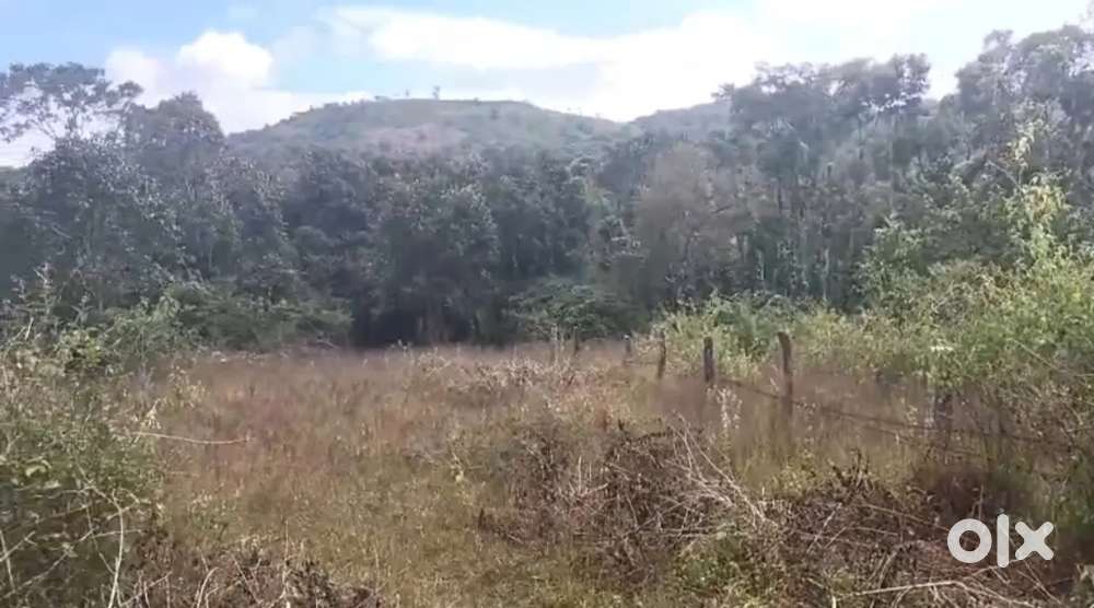 10 ACRES NEGLECTED COFFEE ESTATE FOR SALE