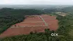 Ettimadai farm land for sale
