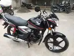 Honda sahin (1-12-2019)very good original show room company condition