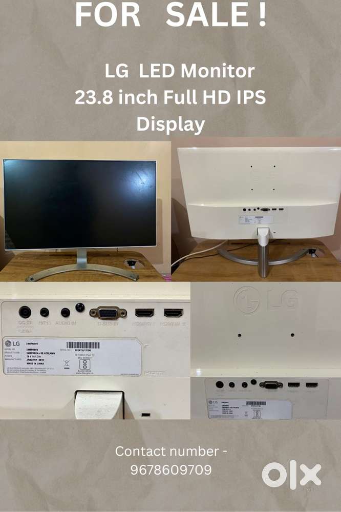 LG  LED Monitor  23.8 inch Full HD IPS Display