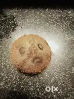 തേങ്ങയുടെ ചിരട്ട