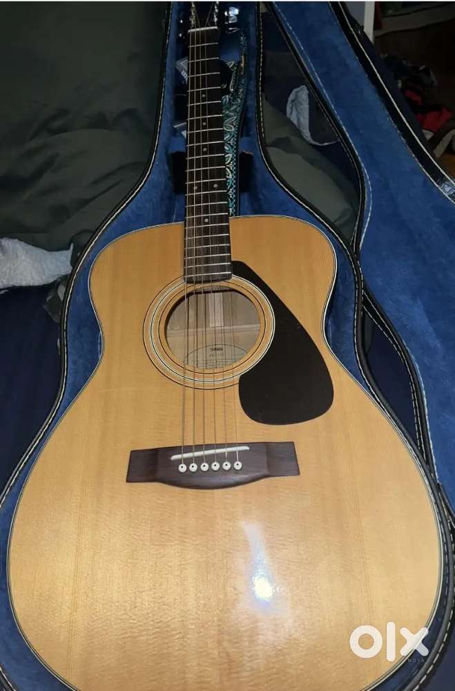 Guitar with cover