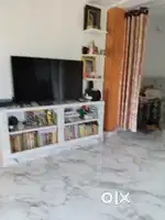 50 inch Mi TV, Stabilizer, Home Theater