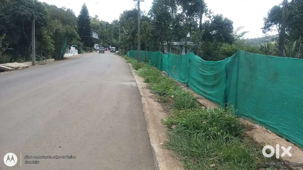 1 Acre(4 L/Cent Negotiable)Cardamom Land for Sale-Ramakkalmedu(Idukki)