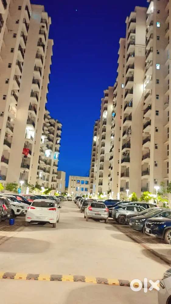 Signature Global Proxima