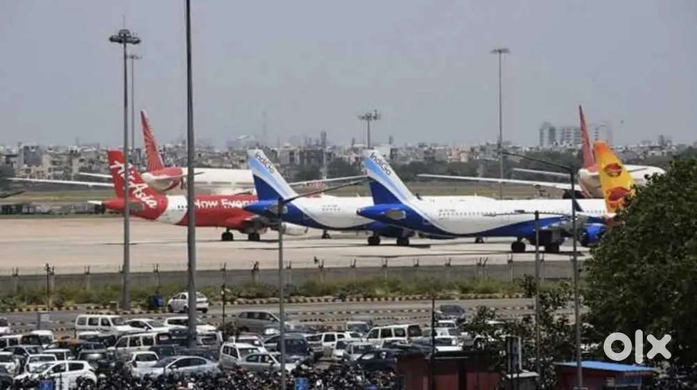 Accountant job in Cargo Warehouse On IGI Airport for Experienced