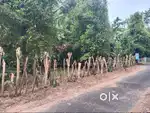 Land for sale near Chalakudy