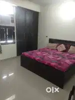 Ready to Move Fully Furnished Luxurious 3 BHK with all Amenities