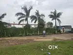 Comercial plot  farmfor front rituraj hotel road back road with garden