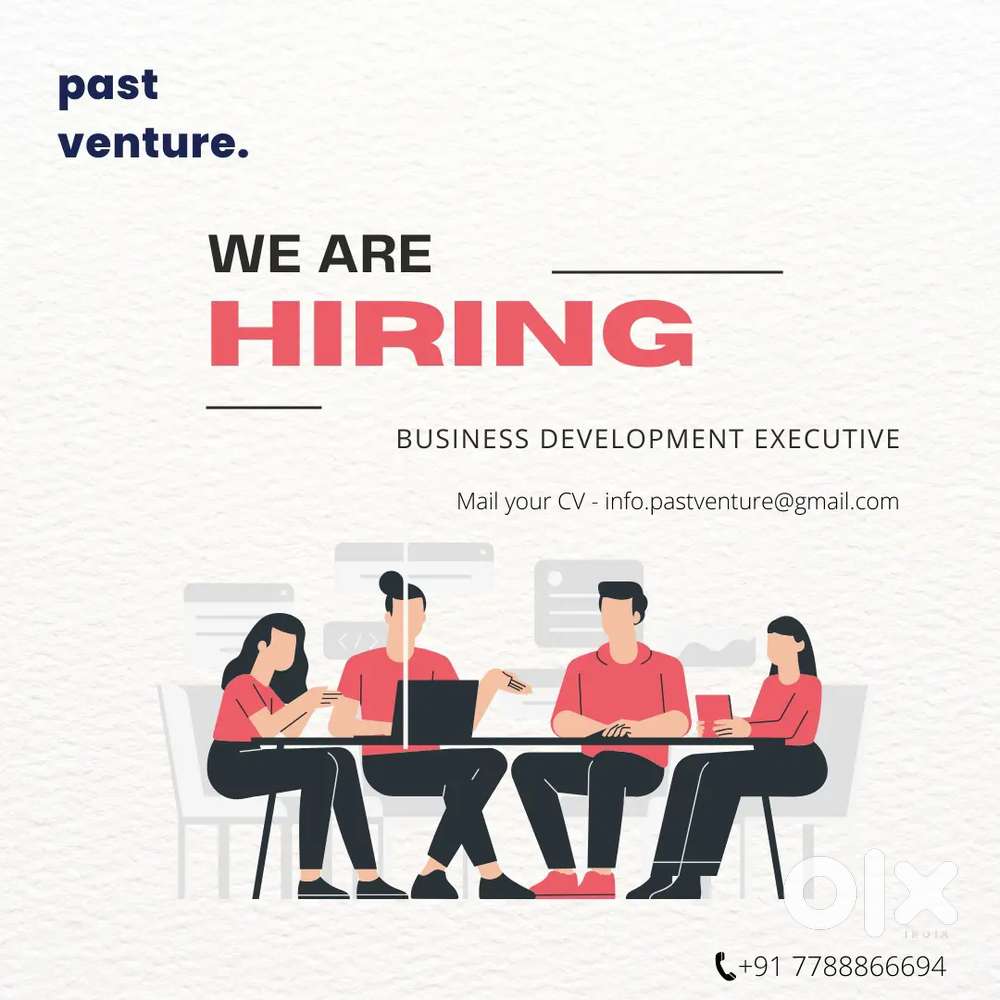 Sales executive