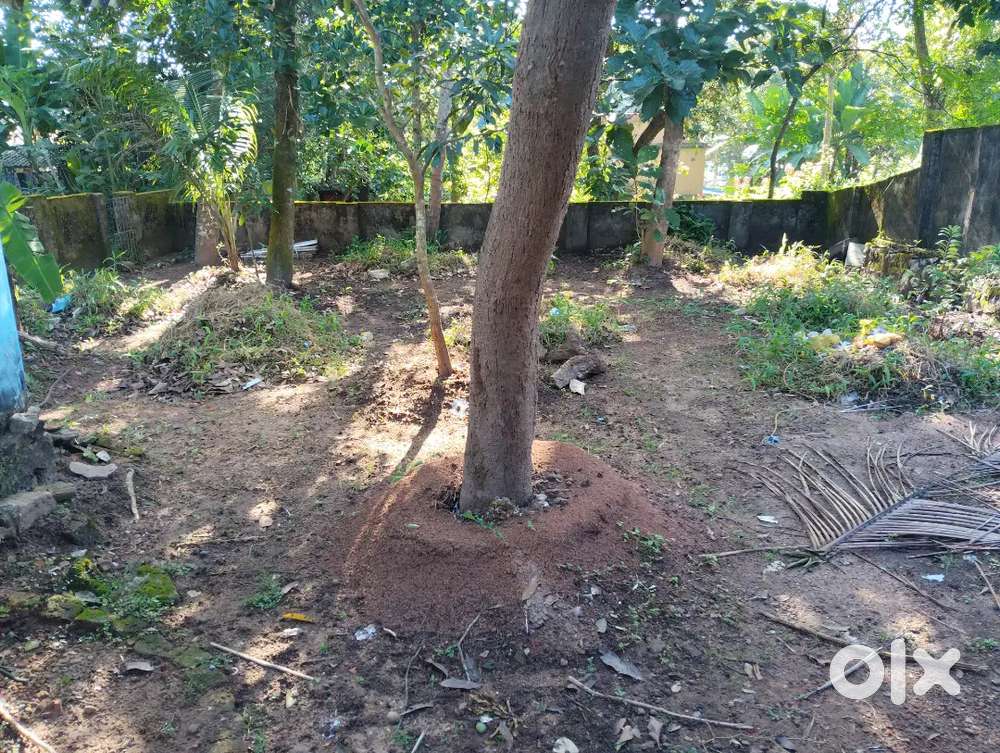 10 cent and old house