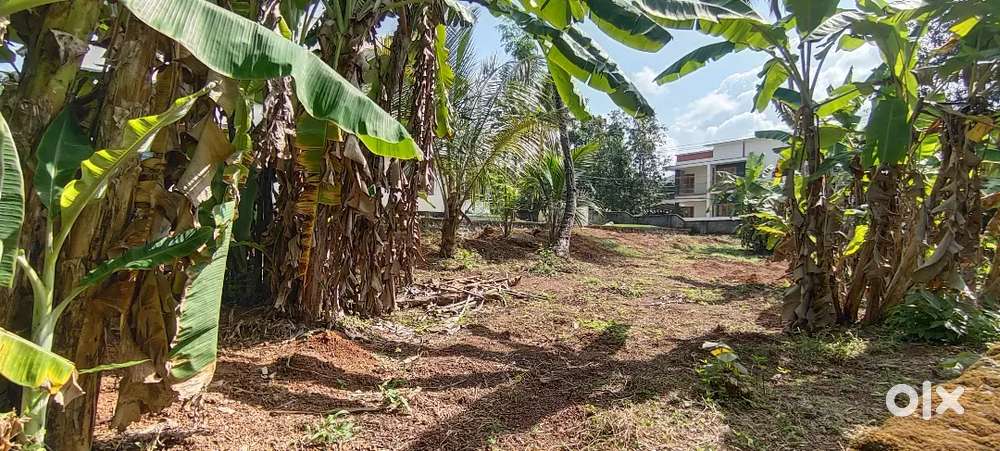 6 cent ns hospital 6 laks per cent